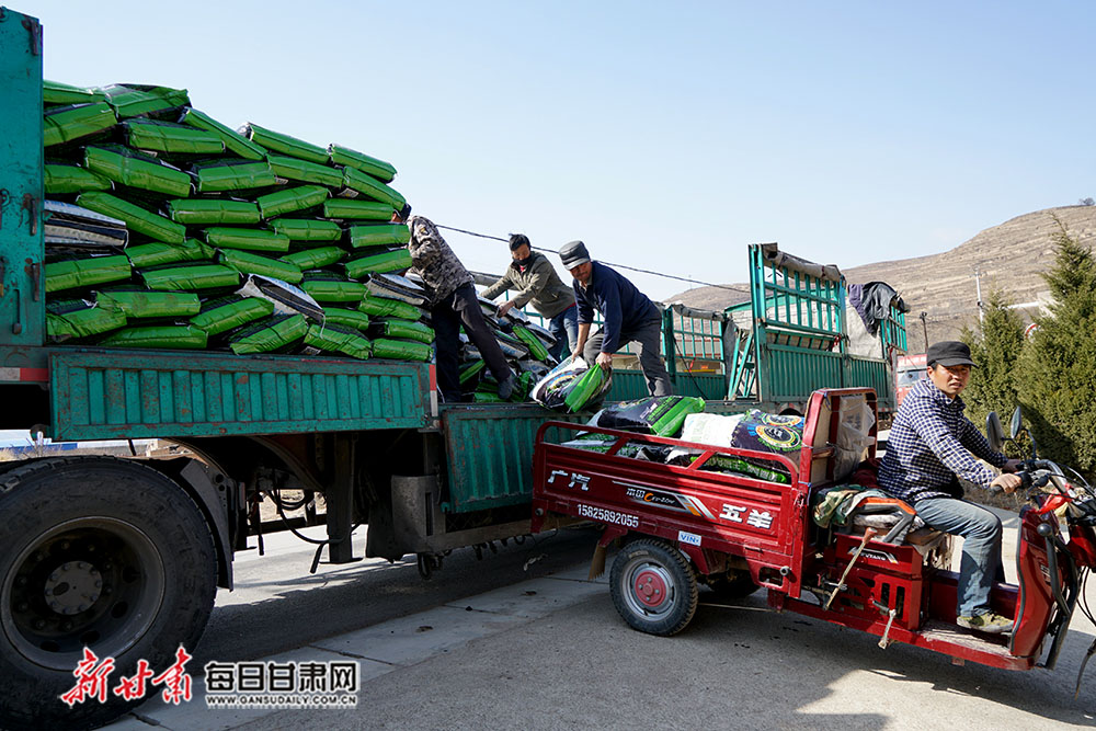 宕昌:保障农资供应 助力春耕生产