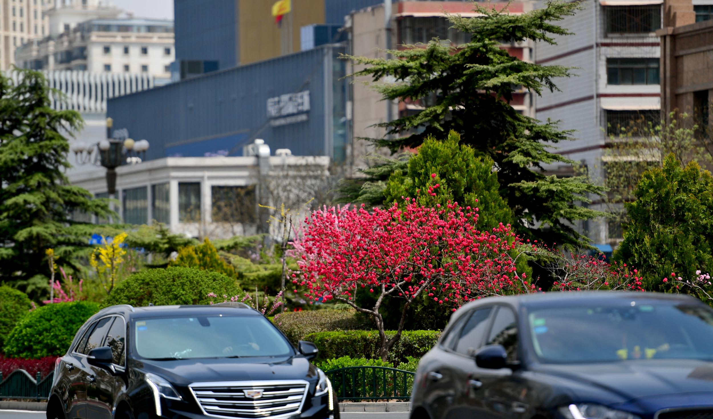 兰州最美天水路