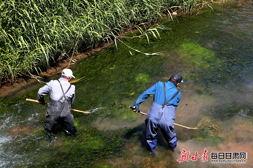 世界环境日 甘州湿地公园工人清淤忙