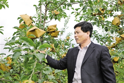 鎮原縣太平鎮彭陽村村委會主任劉銀利: 