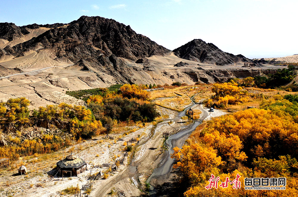 阿克塞多坝沟胡杨炫金秋