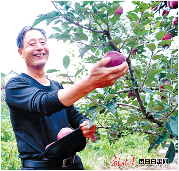 张加成在果园做直播.中秋,国庆"双节"成农民主播"丰收节".