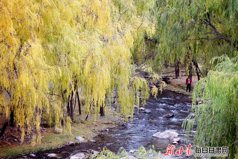 金昌市韩家峡水库秋景醉人