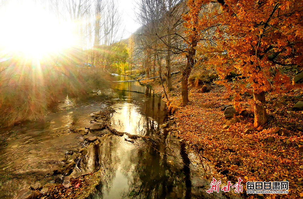 金昌市韩家峡水库秋景醉人
