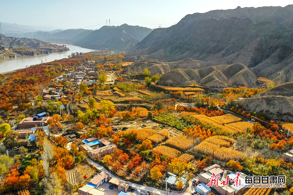景泰县黄河沿岸风光美