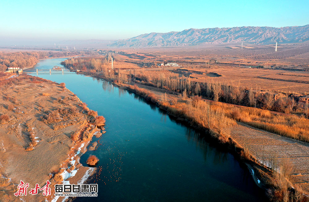 临泽:碧水蜿蜒润田畴 黑河如带景如画-图库-每日甘肃网