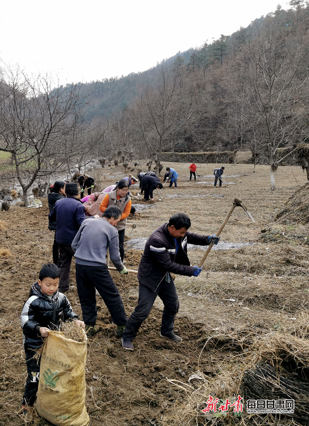 康县迷坝乡:人勤春来早 田间管护忙