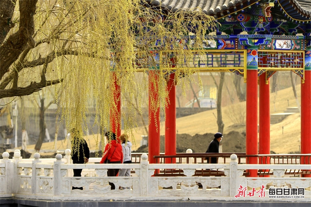 新甘肃·每日甘肃网通讯员 陈礼 摄影报道