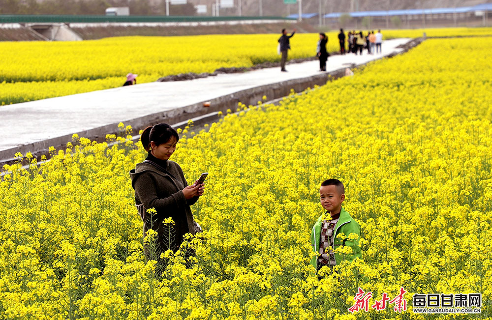 3月26日,游客在角弓镇油菜花田里驻足留影.jpg