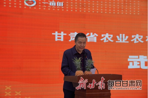 舌尖上的菠萝·全球菠萝城市品鉴中国行兰州站活动举行