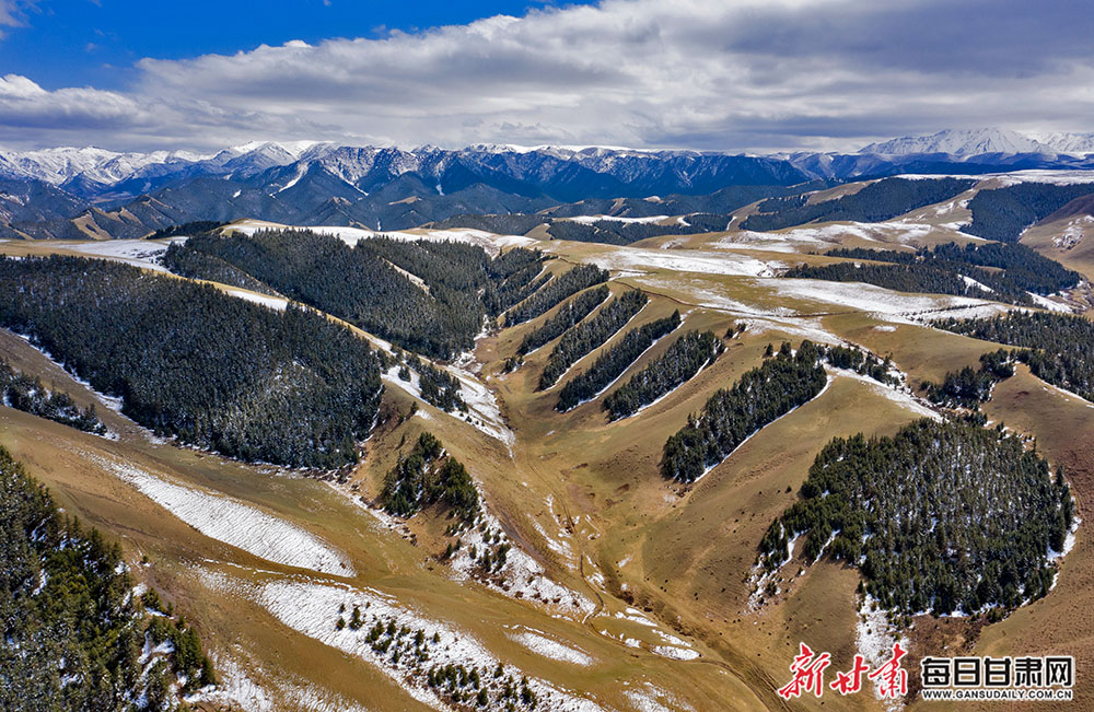 祁連山脈位於甘肅,青海兩省交界處,平均海拔3500米以上,山峰白雪皚皚