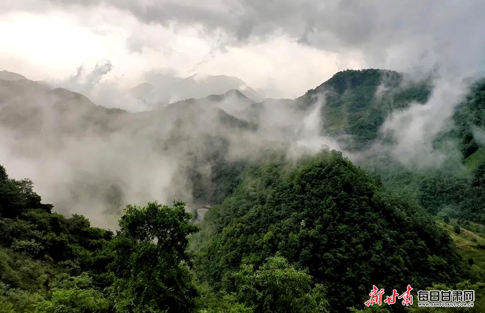 武都裕河:观云雾缭绕似人间仙境 梦烟雨缥缈若世外桃源-图库-每日甘肃