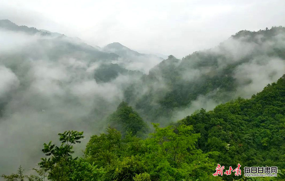 武都裕河观云雾缭绕似人间仙境梦烟雨缥缈若世外桃源