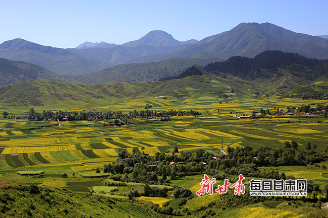 【散文】"镶金"的河州画一样美-文化-每日甘肃网