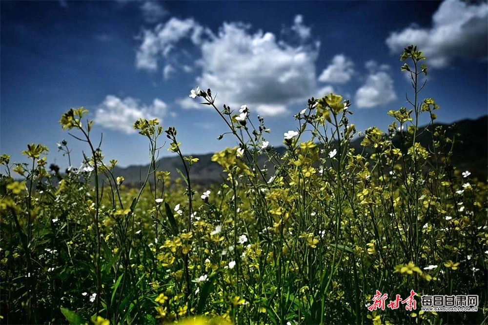 马坡乡位于榆中县境内,南靠马衔山,北望兴隆山,西连阿干镇,东邻新营乡