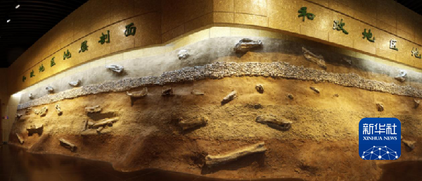 和政地区地层剖面(和政古动物化石博物馆供图)