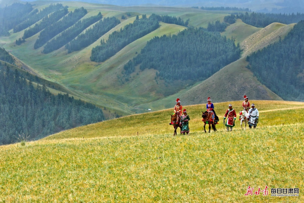 每一张都是大片这个秋天去一次肃南草原才算无憾