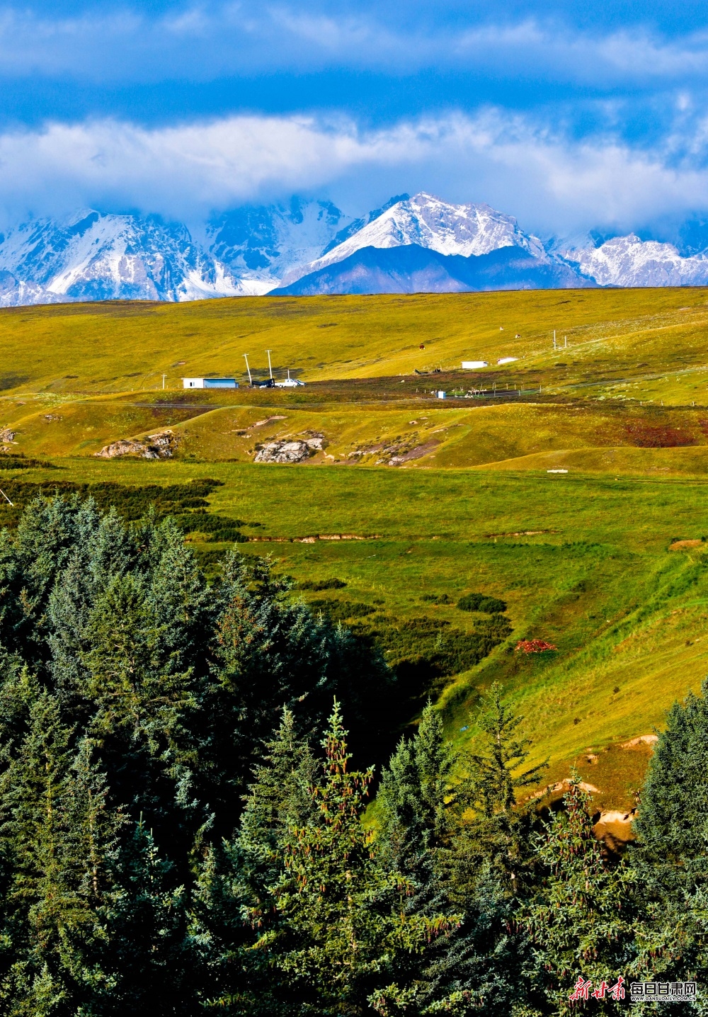 这个秋天,去一次肃南草原才算无憾-图库-每日甘肃网