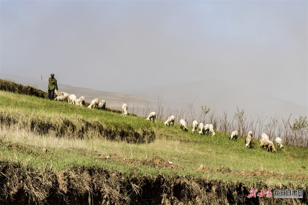 云雾缭绕的会宁县侯川镇梯田