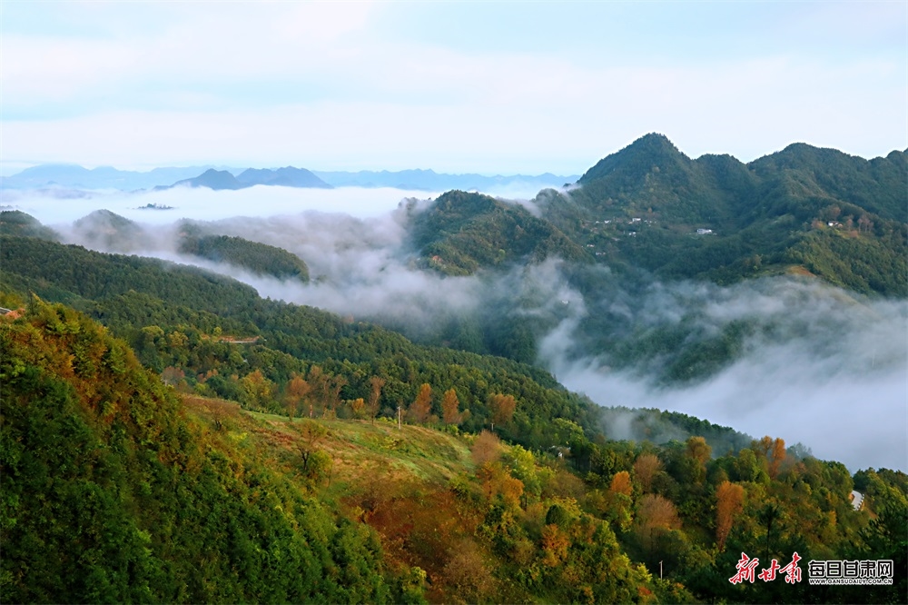 甘肃康县图片