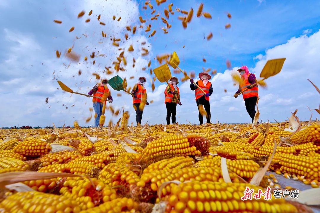 看!2500万人的丰收图景