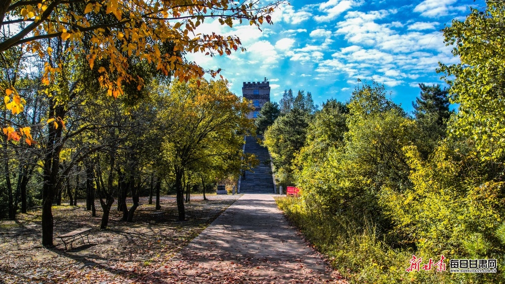 莽莽子午岭 浓浓是秋色