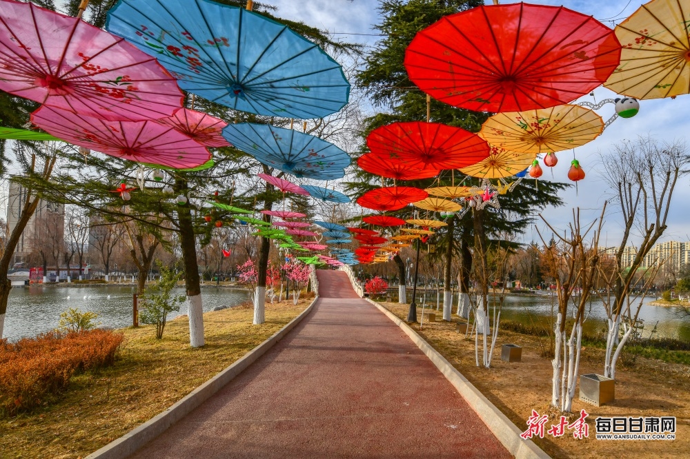 1月12日,天水市馬跑泉公園冬日的景色一點也不比春秋遜色,樹木和花草