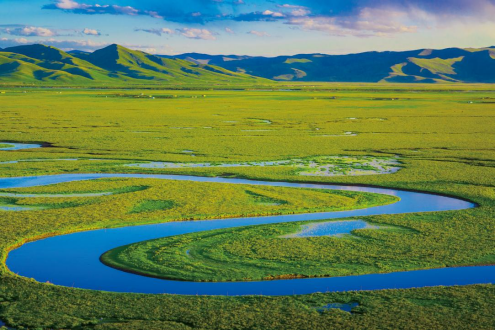 【视频】坚决担起黄河上游生态保护责任――“高原之肺”阿万仓湿地。