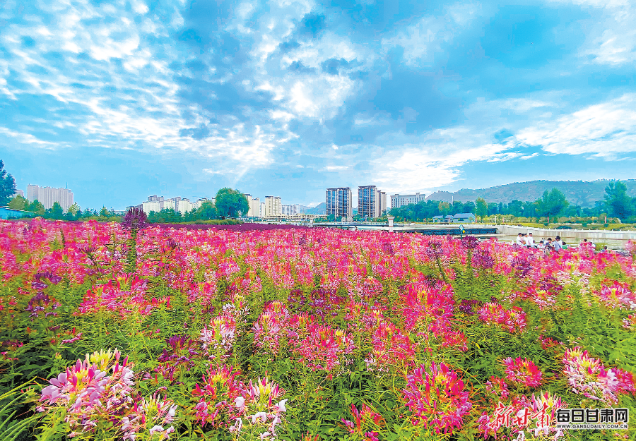 【图片新闻】康乐县胭脂湖公园鲜花竞相绽放,美景如画