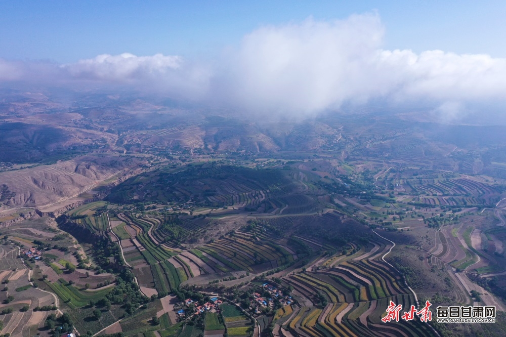 DJI_0925