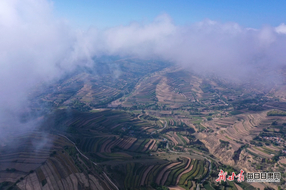 DJI_0929