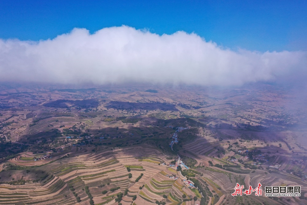 DJI_0931