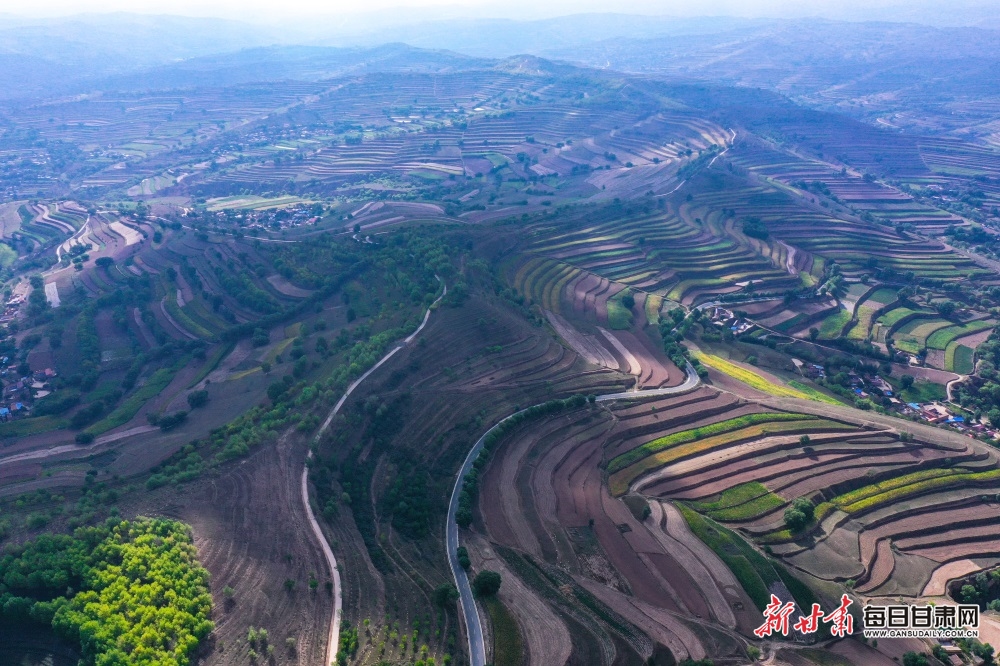 DJI_0934