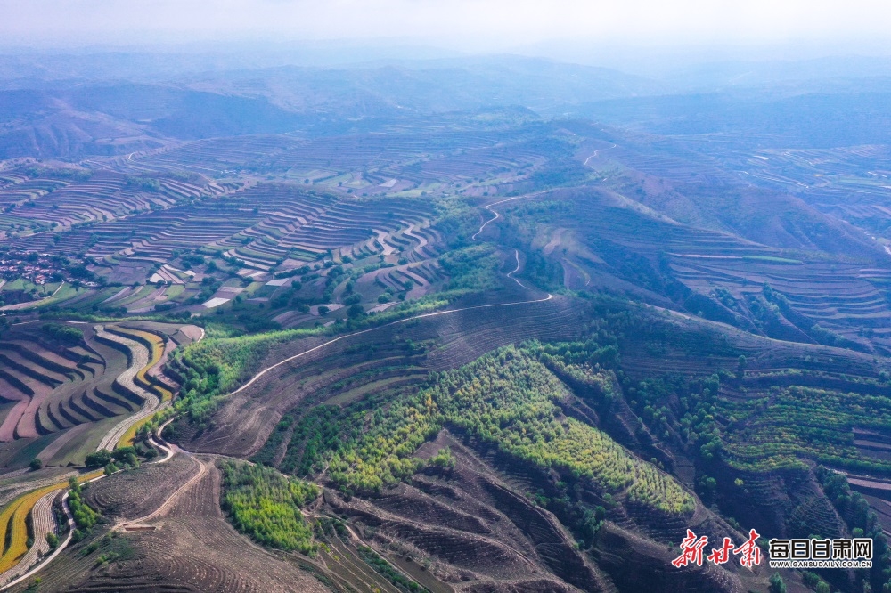 DJI_0940