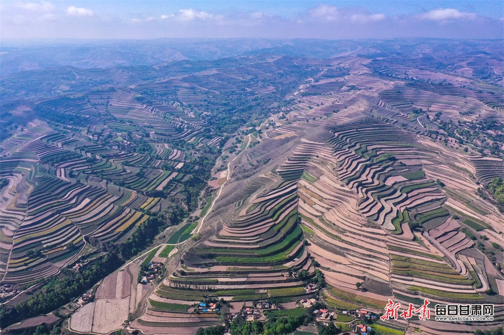 DJI_0945