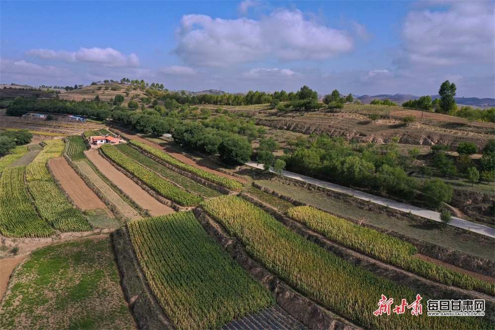 DJI_0910