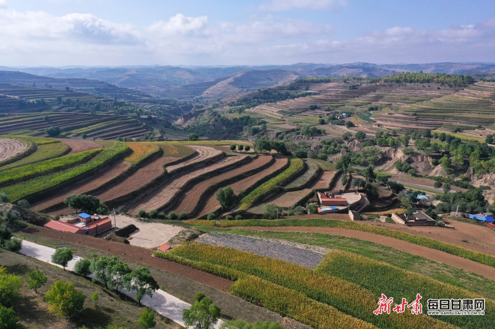 DJI_0911