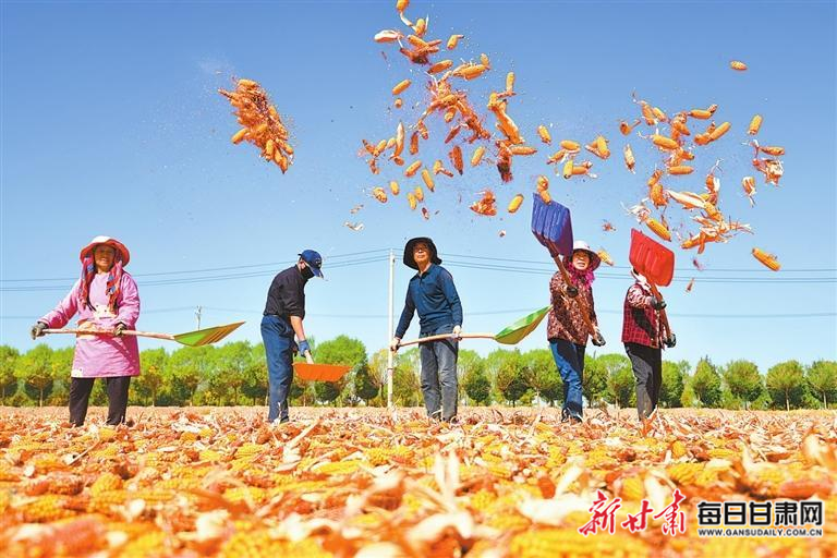 庆丰收促和美 共享喜悦时光——甘肃省庆祝中国农民丰收节系列活动综述