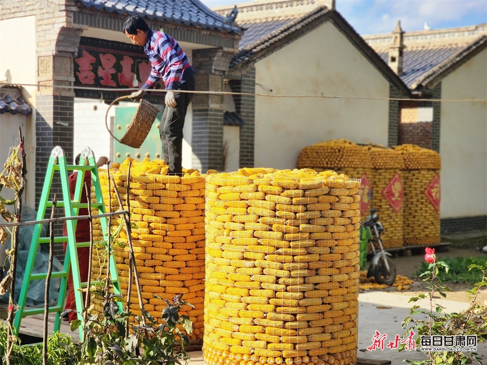 “玉米囤”扮出泾川乡村新风景