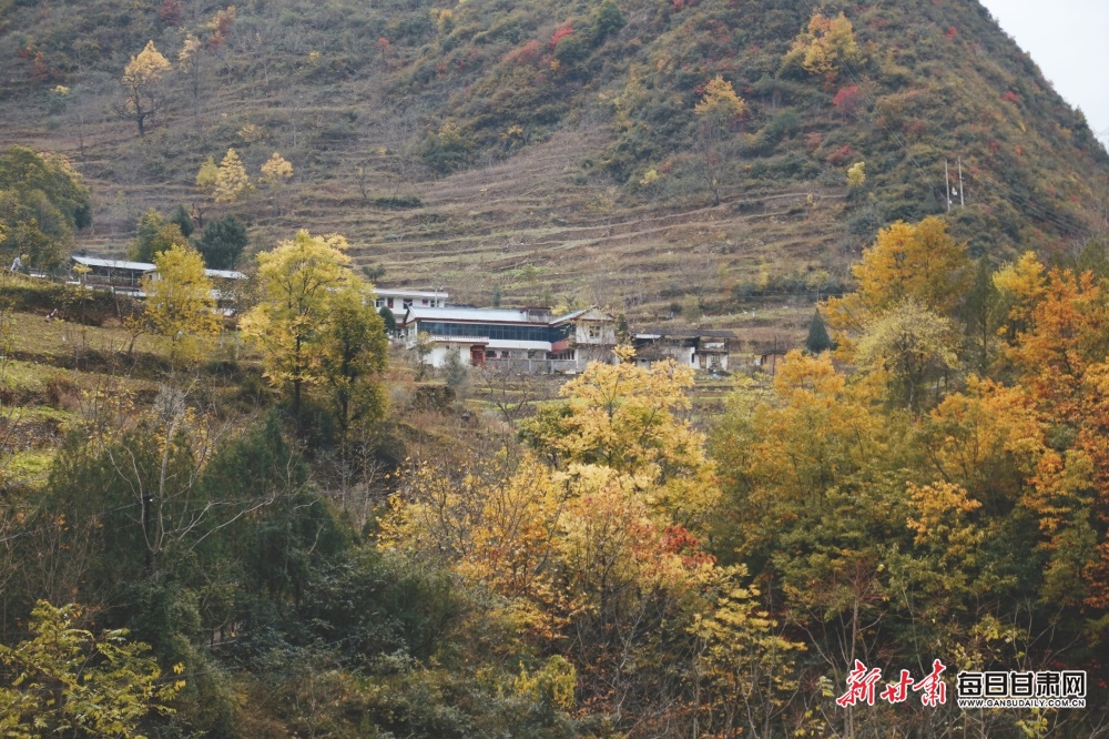IMG_20231111_235744