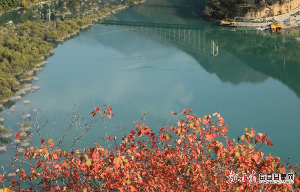 2023年11月15日,陇南市文县碧口镇白水江流域风光旖旎,色彩斑斓,涟涟碧水与秀丽林木相互映衬,景色怡人如画。(图片7)