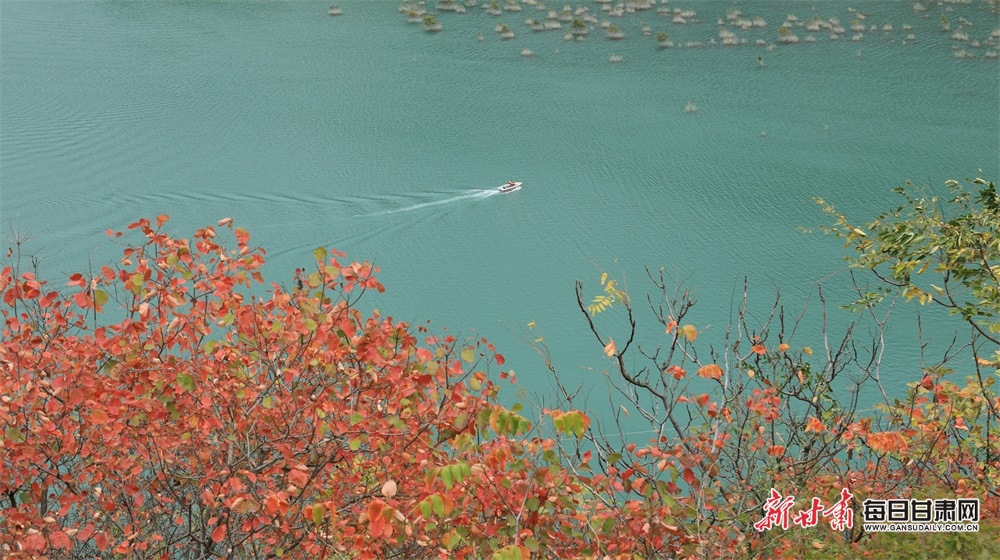 2023年11月15日,陇南市文县碧口镇白水江流域风光旖旎,色彩斑斓,涟涟碧水与秀丽林木相互映衬,景色怡人如画。(图片12)