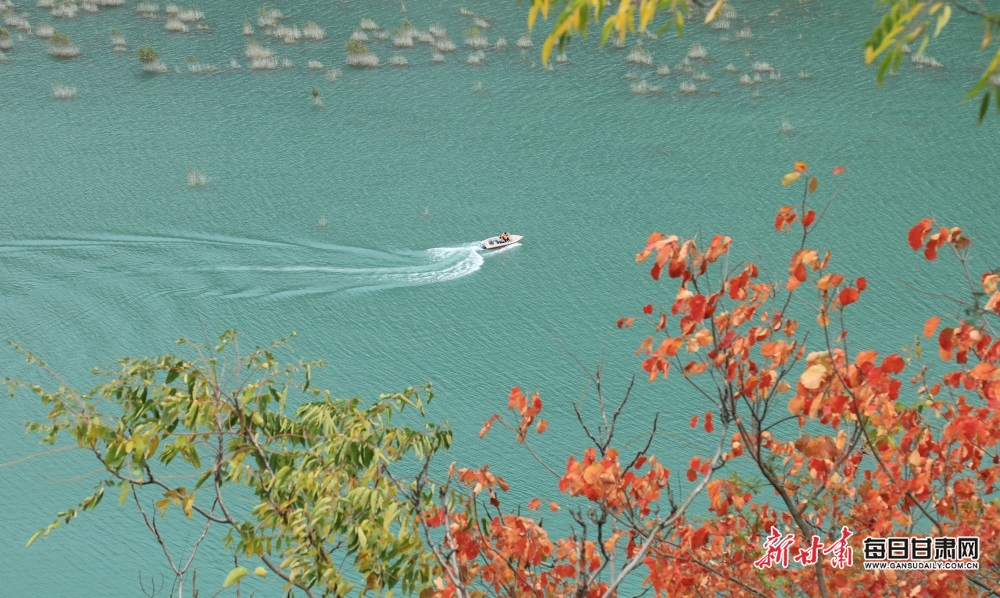 2023年11月15日,陇南市文县碧口镇白水江流域风光旖旎,色彩斑斓,涟涟碧水与秀丽林木相互映衬,景色怡人如画。(图片15)