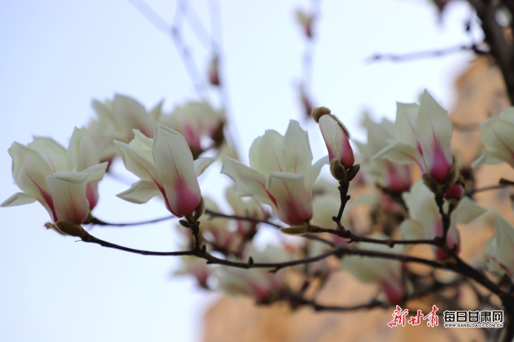 微信图片_20240402173223