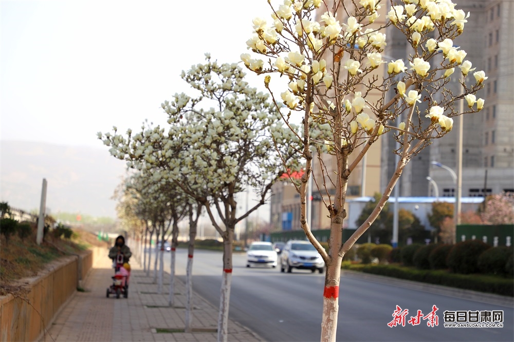 微信图片_20240402173233 微信图片_20240402173233.jpg