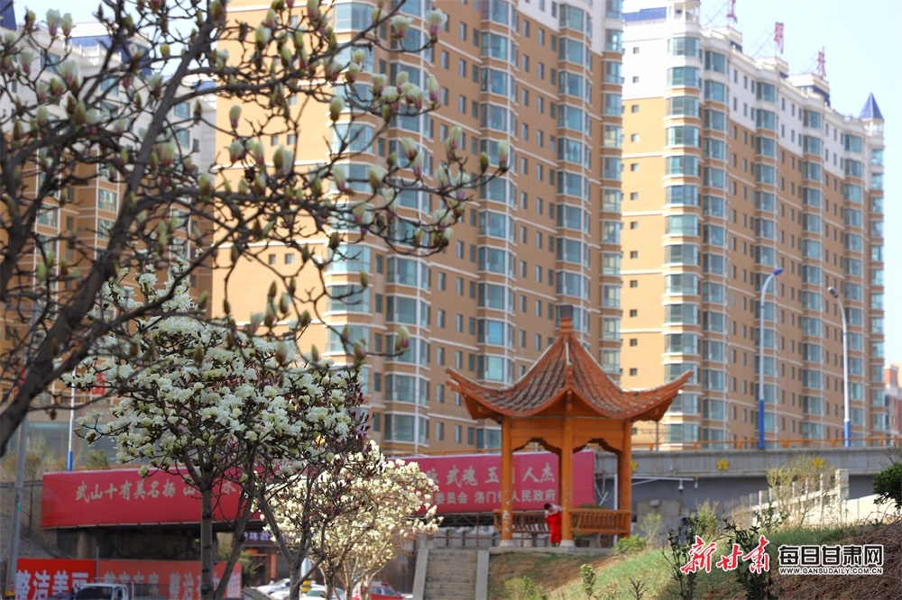 微信图片_20240402173245