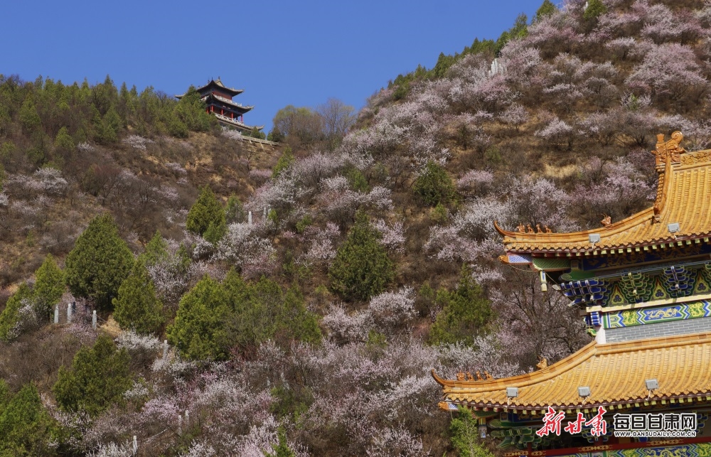 山寺 (5) 山寺 (5).JPG