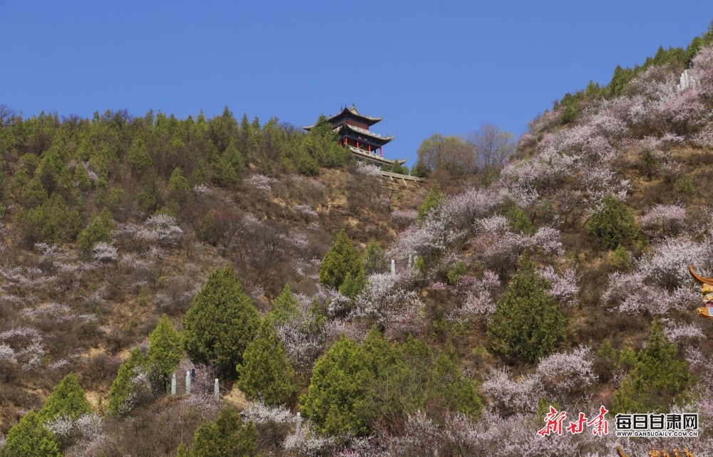 山寺 (6)