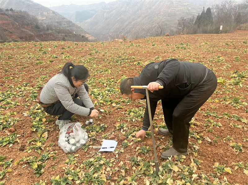 今年春季庄稼咋种?气象专家深入田间支招甘肃经济日报—甘肃经济网