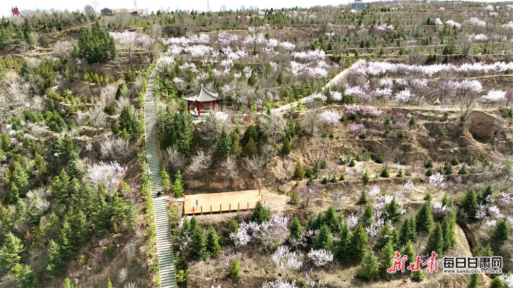 DJI_0145_副本